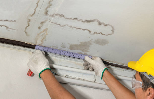 Reliable Mold Remediation contractor in Hackberry, TX by Water Damage Irwin